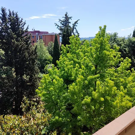 公寓 Panoramico 佛罗伦萨